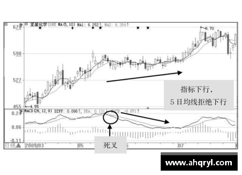 排球场上的位置战略与角色演变